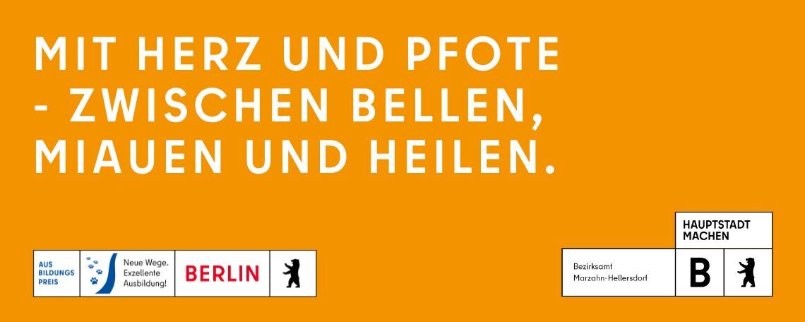 Ausbildung Praktikum (3)
