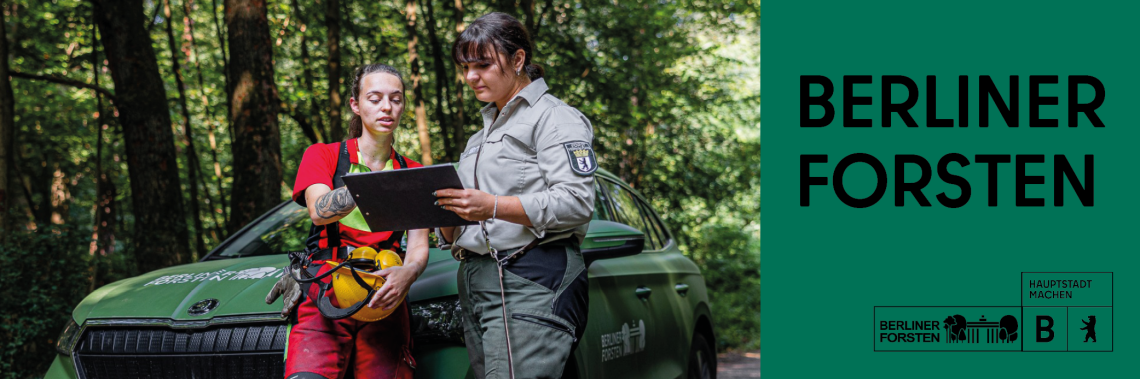 Head Förster Projektförster schwarz