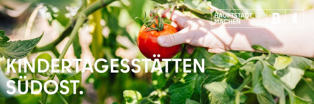 Präsentation2 Header Tomate Orion