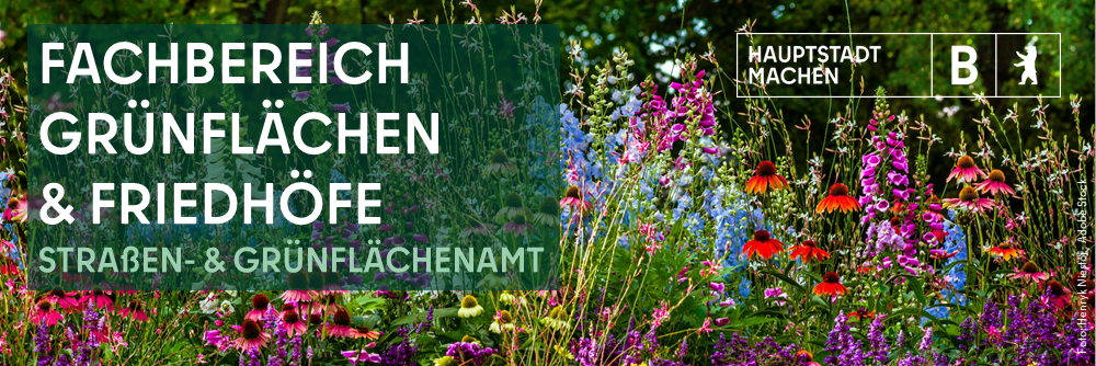 ba spd header sga fb grünflächen und friedhöfe neu