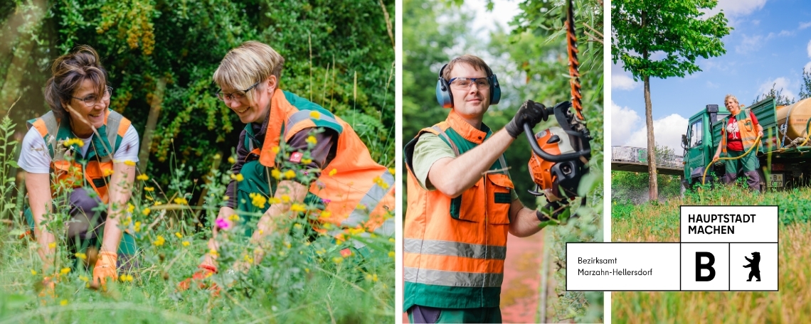 Grünpflege Banner 2